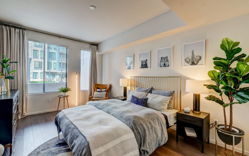 Your Apartment